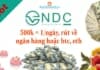 Hướng dẫn kiếm tiền VNDC