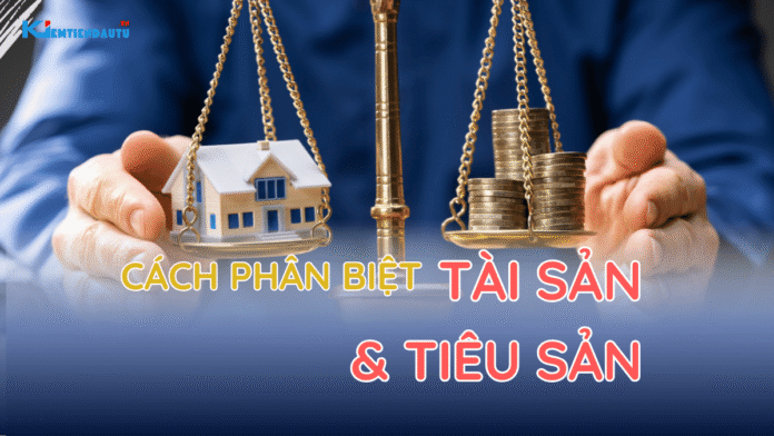 Phân biệt tài sản và tiêu sản trong thực tế Phân biệt tài sản và tiêu sản trong thực tế